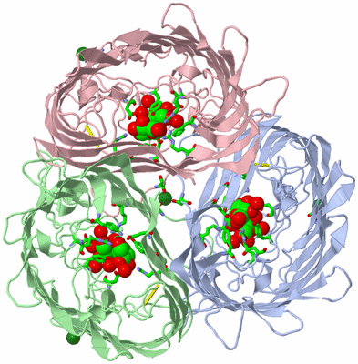 Image Asym./Biol. Unit - sites