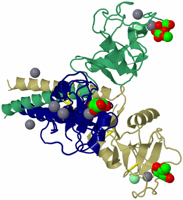Image Asym./Biol. Unit