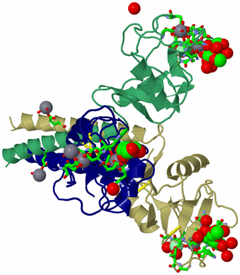 Image Asym./Biol. Unit - sites