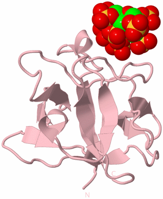 Image Biological Unit 3