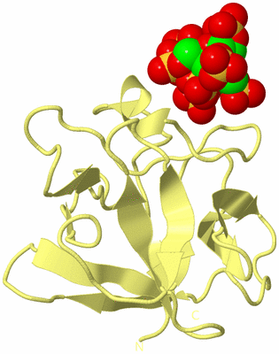 Image Biological Unit 4