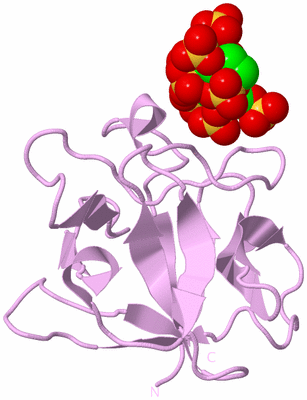 Image Biological Unit 5