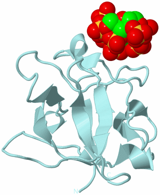 Image Biological Unit 6