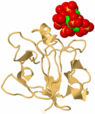 Image Biological Unit 7