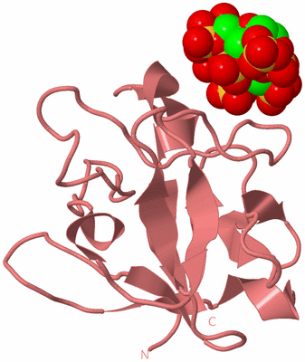 Image Biological Unit 8