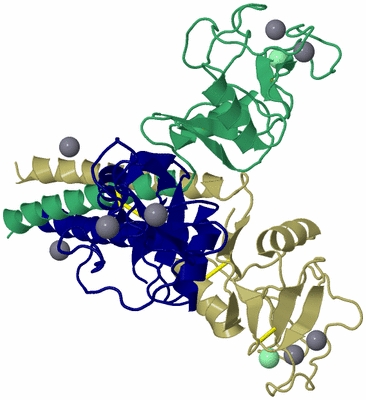 Image Asym./Biol. Unit