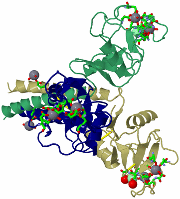 Image Asym./Biol. Unit - sites