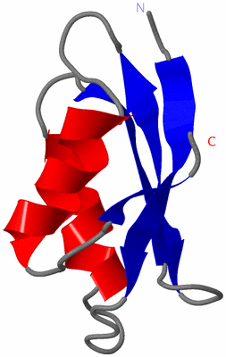 Image NMR Structure - model 1