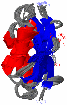 Image NMR Structure - all models