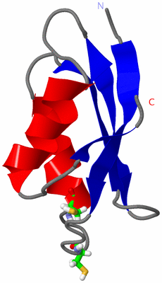 Image NMR Structure - model 1, sites