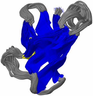 Image NMR Structure - all models