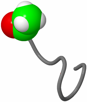 Image NMR Structure - model 1