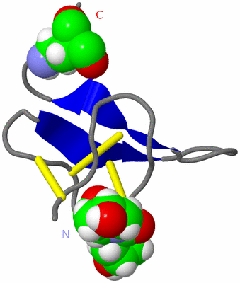 Image NMR Structure - model 1