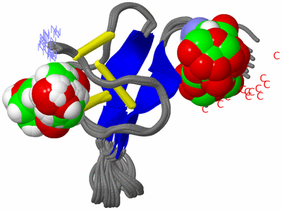 Image NMR Structure - all models