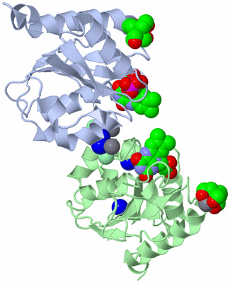 Image Asym./Biol. Unit