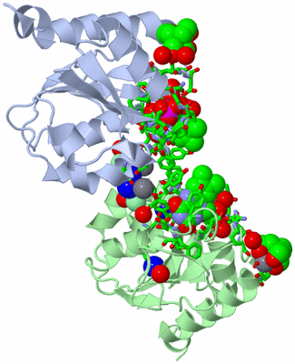 Image Asym./Biol. Unit - sites