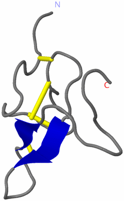 Image NMR Structure - model 1