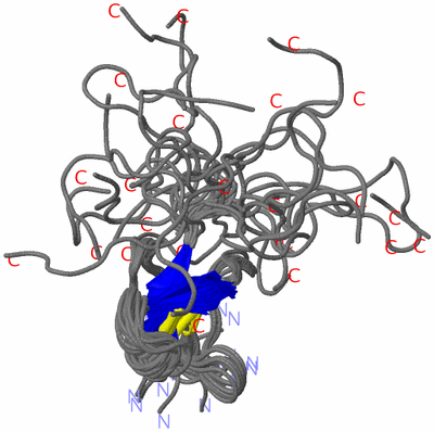 Image NMR Structure - all models