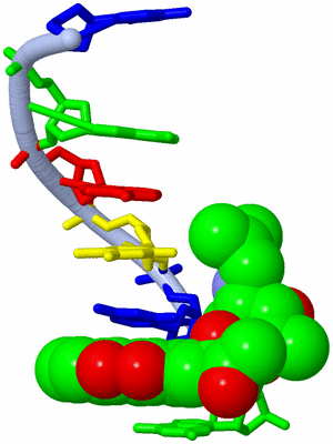 Image Asymmetric Unit