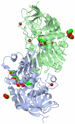 Image Biological Unit 1