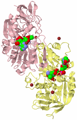 Image Biological Unit 2