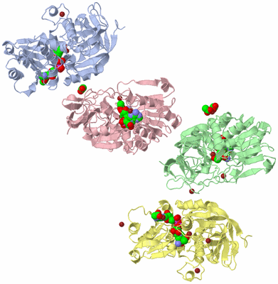 Image Biological Unit 3