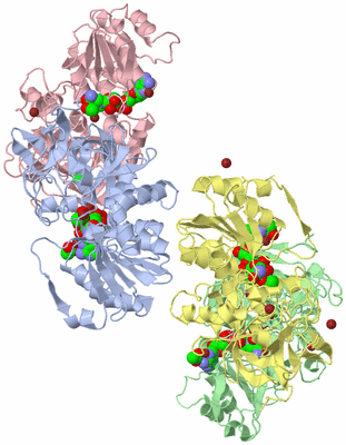 Image Biological Unit 4