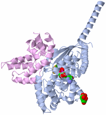 Image Biological Unit 1