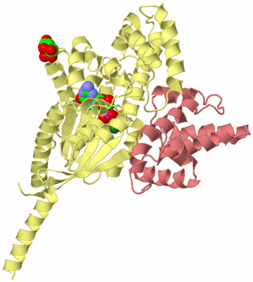 Image Biological Unit 2