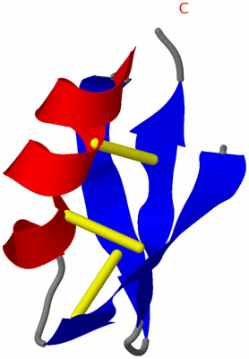 Image NMR Structure - model 1