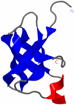 Image NMR Structure - model 1