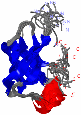 Image NMR Structure - all models