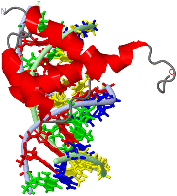 Image NMR Structure - model 1