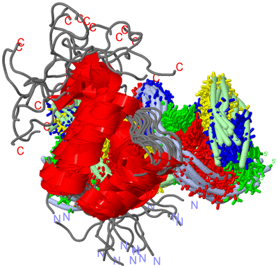 Image NMR Structure - all models