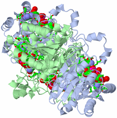 Image Biol. Unit 1 - sites