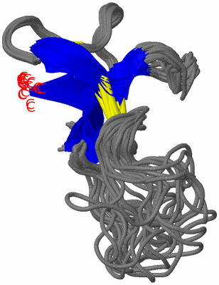 Image NMR Structure - all models