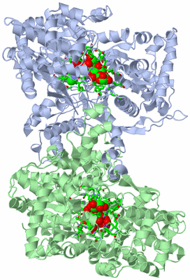 Image Asym./Biol. Unit - sites