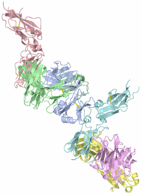 Image Asym./Biol. Unit