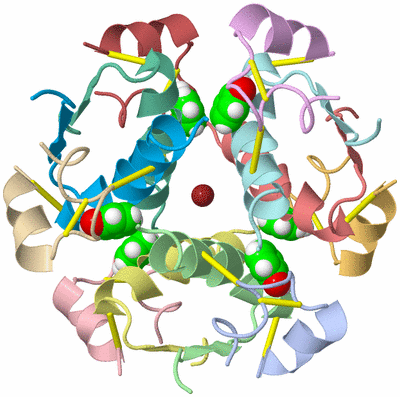 Image NMR Structure - model 1