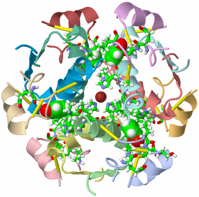 Image NMR Structure - model 1, sites