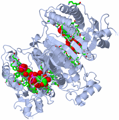 Image Biol. Unit 1 - sites