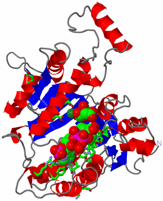 Image Asym. Unit - sites