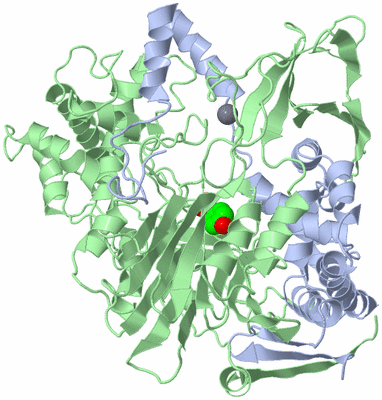 Image Asym./Biol. Unit