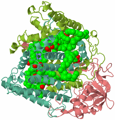 Image Biological Unit 1