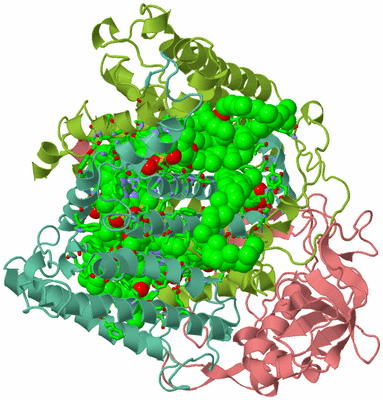 Image Biol. Unit 1 - sites