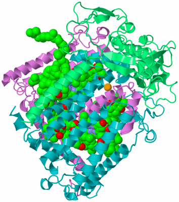 Image Biological Unit 2