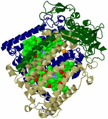 Image Biological Unit 2