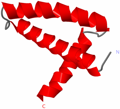 Image Asymmetric Unit