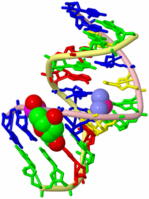 Image Biological Unit 2