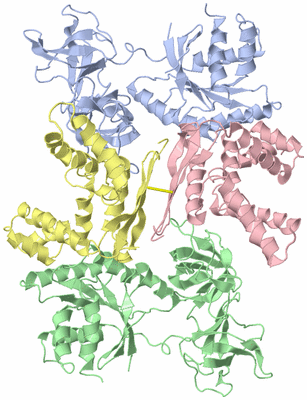 Image Biological Unit 1